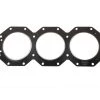 Sierra 18-0491 Head Gasket -Cheap Sierra Store 18 0491