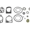 Sierra 18-2655 Marine Lower Unit Seal Kit For Mercury/Mariner Outboard Motor -Cheap Sierra Store 18 2655