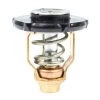 Sierra 18-3641 Thermostat