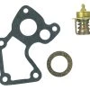 Sierra 18-3669 Marine Thermostat Kit For Johnson/Evinrude Outboard Motor -Cheap Sierra Store 18 3669