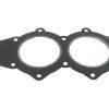 Sierra 18-3802 Marine Head Gasket For Johnson/Evinrude Outboard Motor -Cheap Sierra Store 18 3802