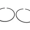 Sierra 18-3901 Piston Rings -Cheap Sierra Store 18 3901