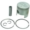 Sierra 18-4097 Piston Kit -Cheap Sierra Store 18 4097