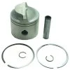 Sierra 18-4100 Marine Piston For Johnson/Evinrude Outboard Motor