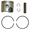 Sierra 18-4625 Piston Kit -Cheap Sierra Store 18 4625