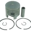 Sierra 18-4644 Piston Kit -Cheap Sierra Store 18 4644