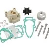 Sierra 18-48317 Complete Water Pump Kit -Cheap Sierra Store 18 48317