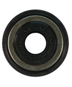 Sierra 18-8298 Oil Seal